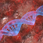 Health Information Technology DNA